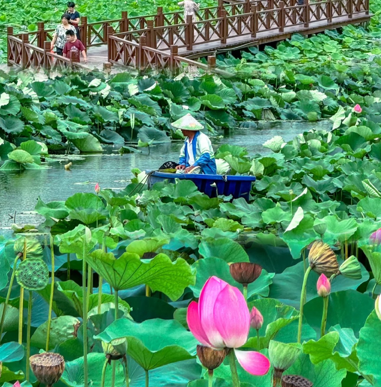 🏛️ 우라와 생활 박물관 민가원(우라와쿠라시노하쿠부츠칸민카엔) 이미지 6